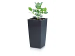 Prosperplast Pot de fleurs Urbi Square, en plastique