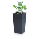 Prosperplast Pot de fleurs Urbi Square, en plastique