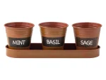 Lot de 3 pots pour herbes aromatiques - Image 13