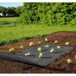 Set de toiles en non-tissé